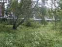 PICT0868.JPG