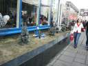 PICT8457.JPG