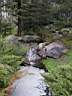 PICT9564.JPG