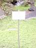 PICT9565.JPG