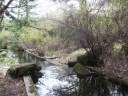 PICT9591.JPG