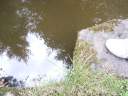 PICT9592.JPG
