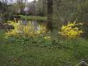 PICT9607.JPG