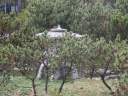 PICT9621.JPG
