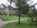 PICT9640.JPG