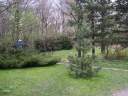 PICT9642.JPG