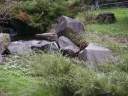PICT9647.JPG