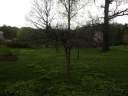 PICT9658.JPG