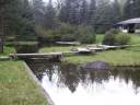 PICT9661.JPG