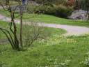 PICT9666.JPG