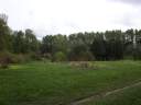 PICT9677.JPG