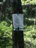 PICT0512.JPG