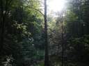 PICT0650.JPG