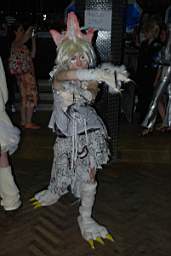 DSC_0127.JPG