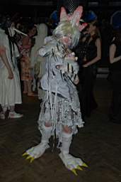 DSC_0136.JPG