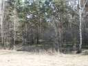 PICT9215.JPG