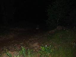 DSC01656.JPG