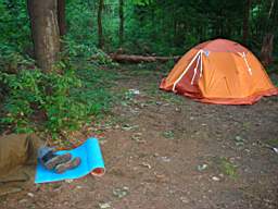 DSC01675.JPG